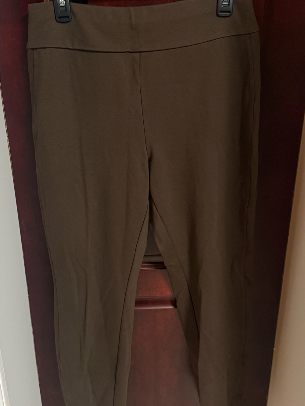 EUC Express Women’s Brown Pull-On Dress Pants | Size Large